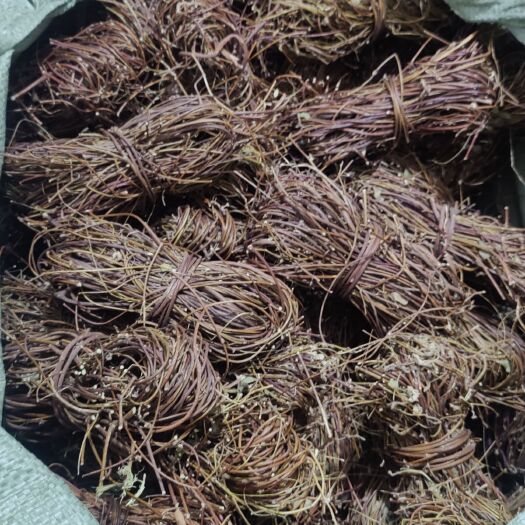 中山市鸡骨草干货 小扎和有头货(量大优惠)