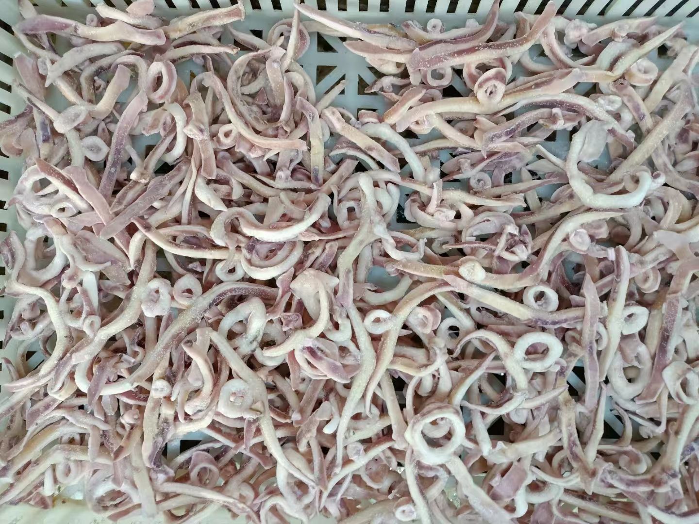 鱿鱼条小飞燕