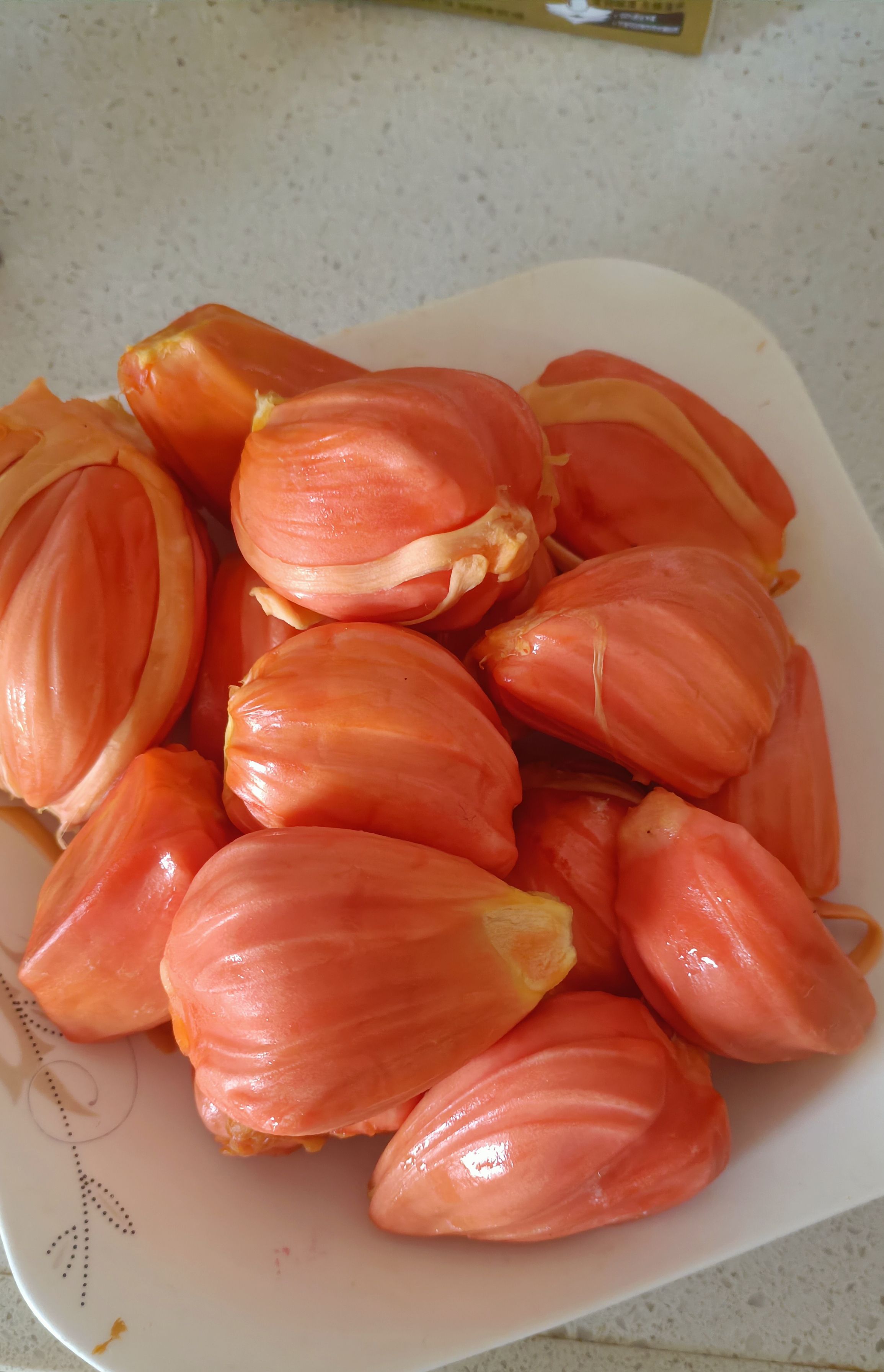 白沙黎族自治县印尼红菠萝蜜苗