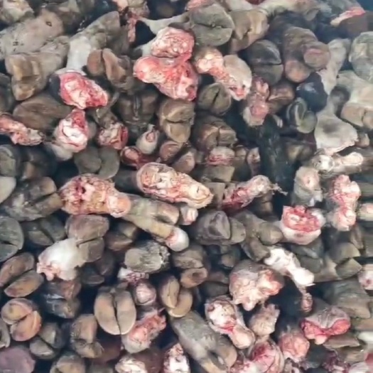 张家口牛蹄大量批发零售