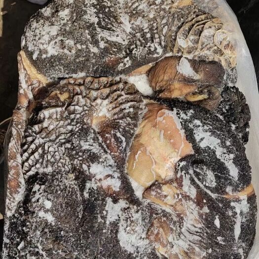 张家口牛肚大量批发零售