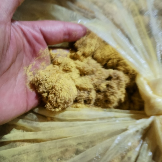 蒲黄一一一产地批发良心药材