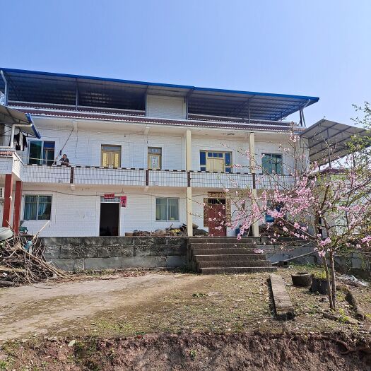 农村宅基地房屋使用权出租