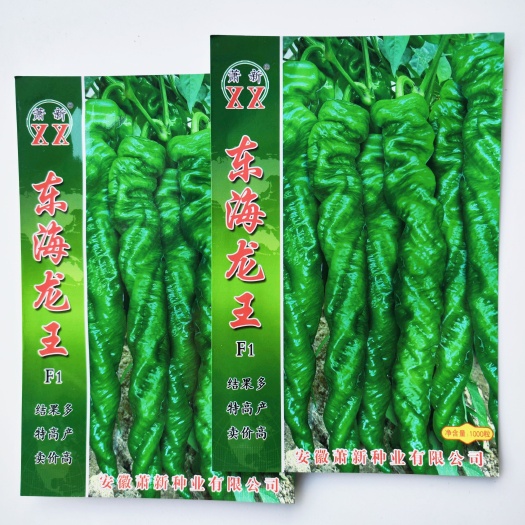沭阳县萧新东海龙王辣椒种子全螺型螺丝椒种子皮薄质脆辣味香浓陇椒种子