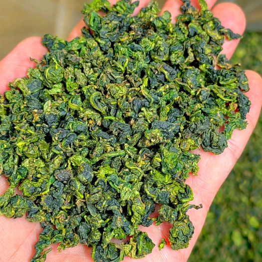 惠来县铁观音茶散装茶叶春茶袋装高山茶铁观音浓香型乌龙茶秋茶观音清香