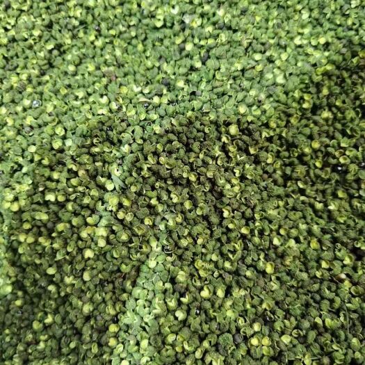 商丘重庆青花椒