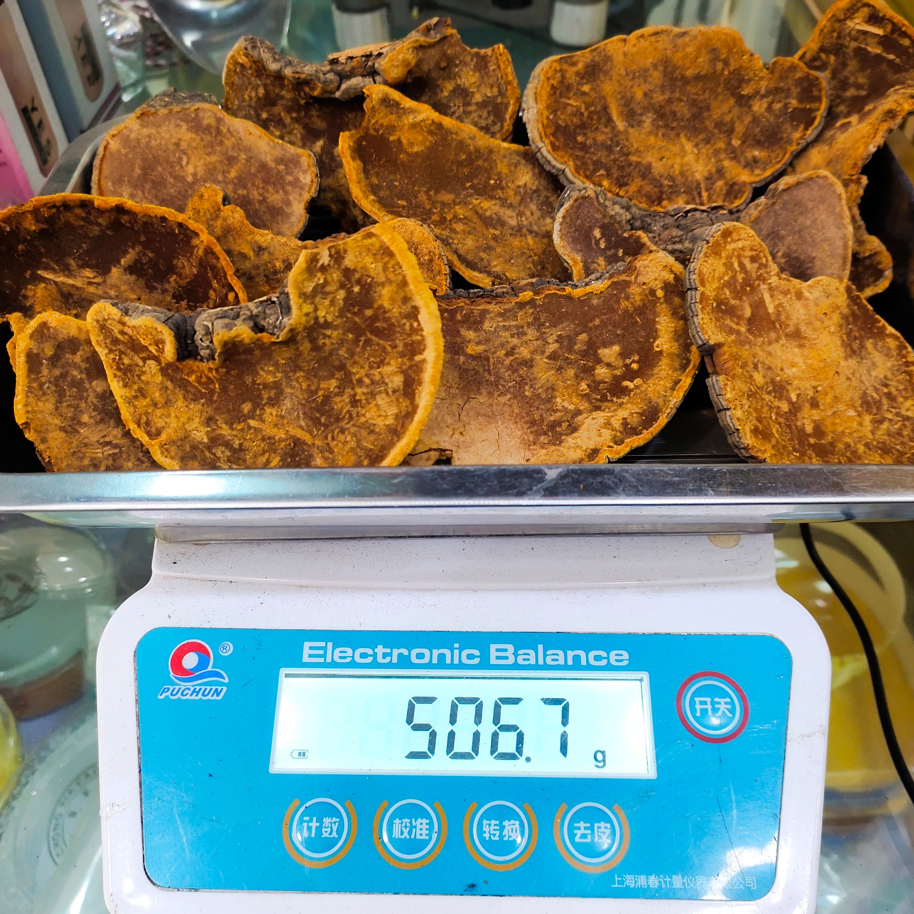 桑黄 干桑黄 非桑树桑黄 一手货源整朵干货桑黄