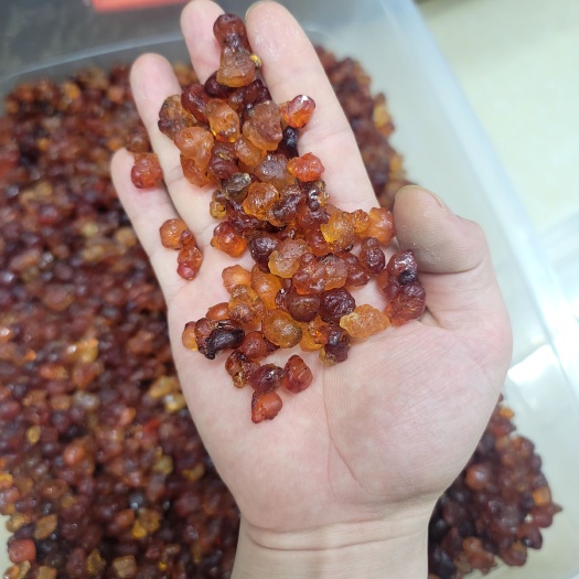 广州糖水桃胶农产品桃胶