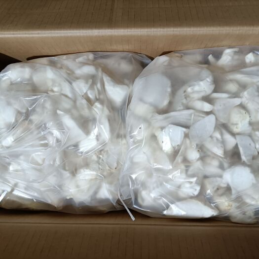 寿光市杏鲍菇片，新鲜，保证质量。