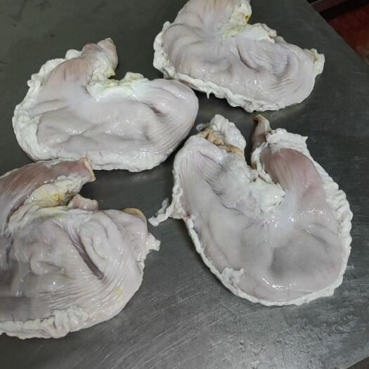 安阳鲜冻猪肚