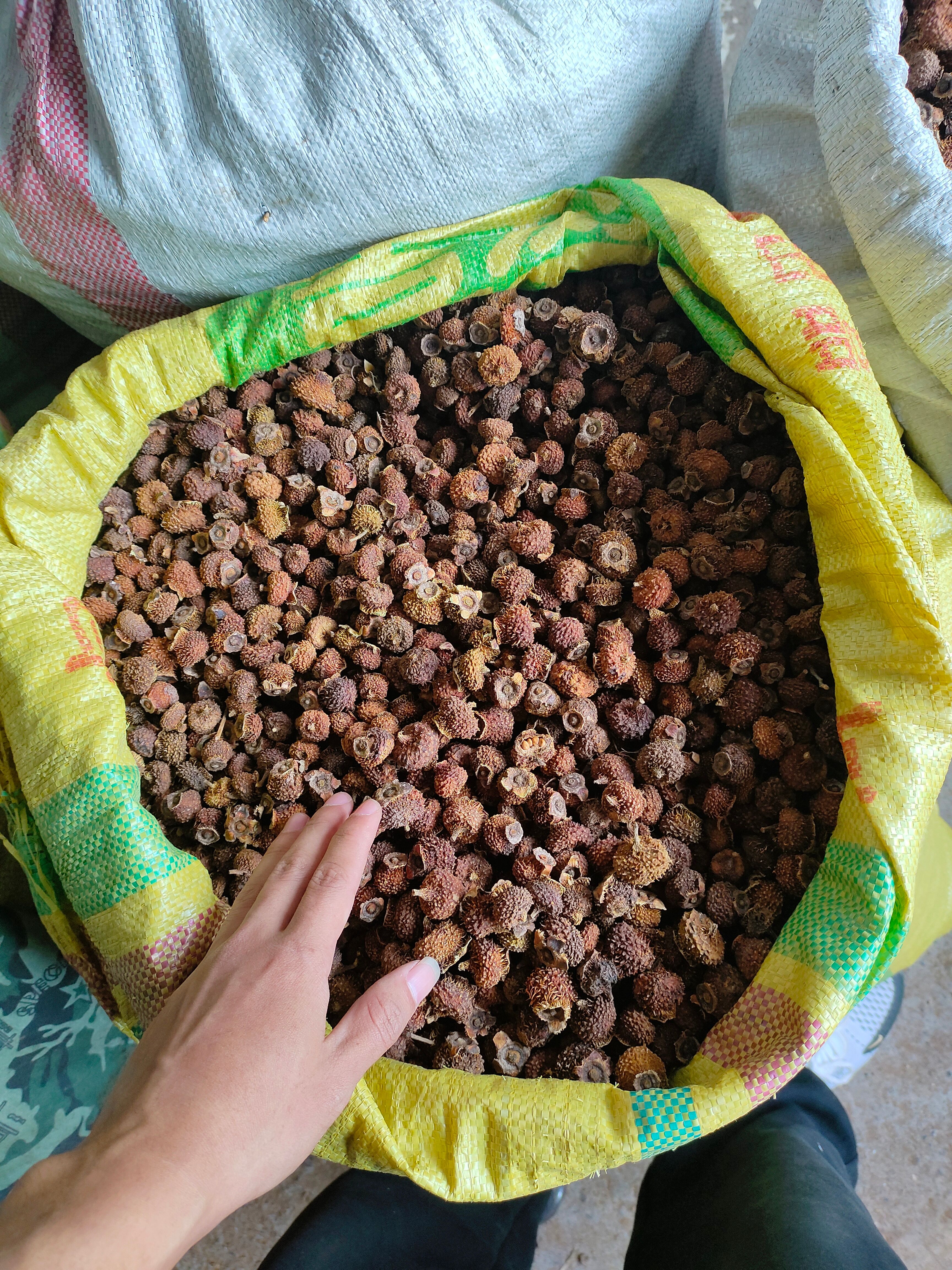 刺梨干果