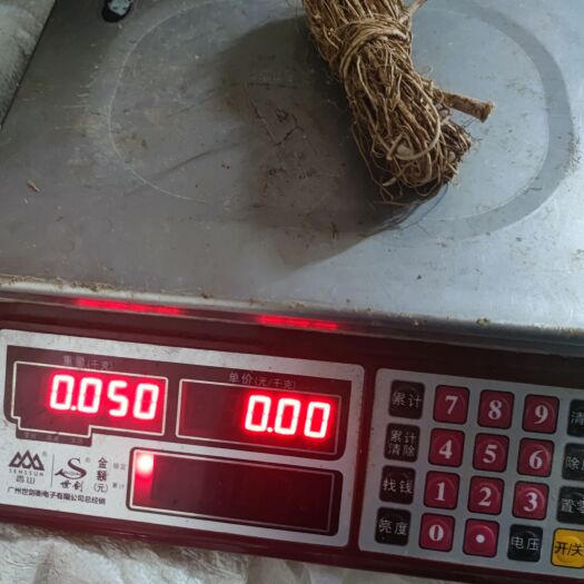 博罗县小小扎五指毛桃