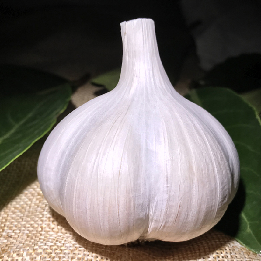 兰陵县苍山大蒜