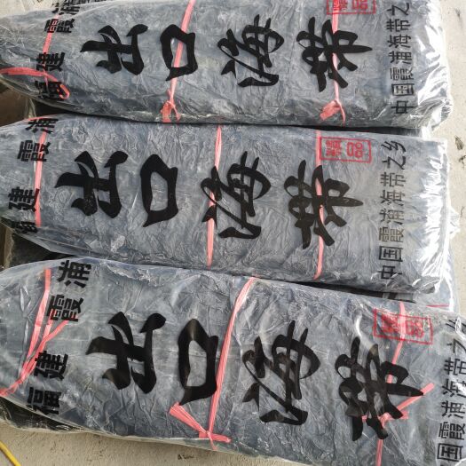 霞浦县{产地直销} 福建霞浦优质90公分剪头去尾海带，量大价优，