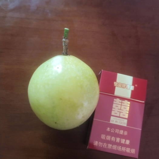 高州市广东茂名高州黄金百香果新鲜采摘现发货浆果类水果