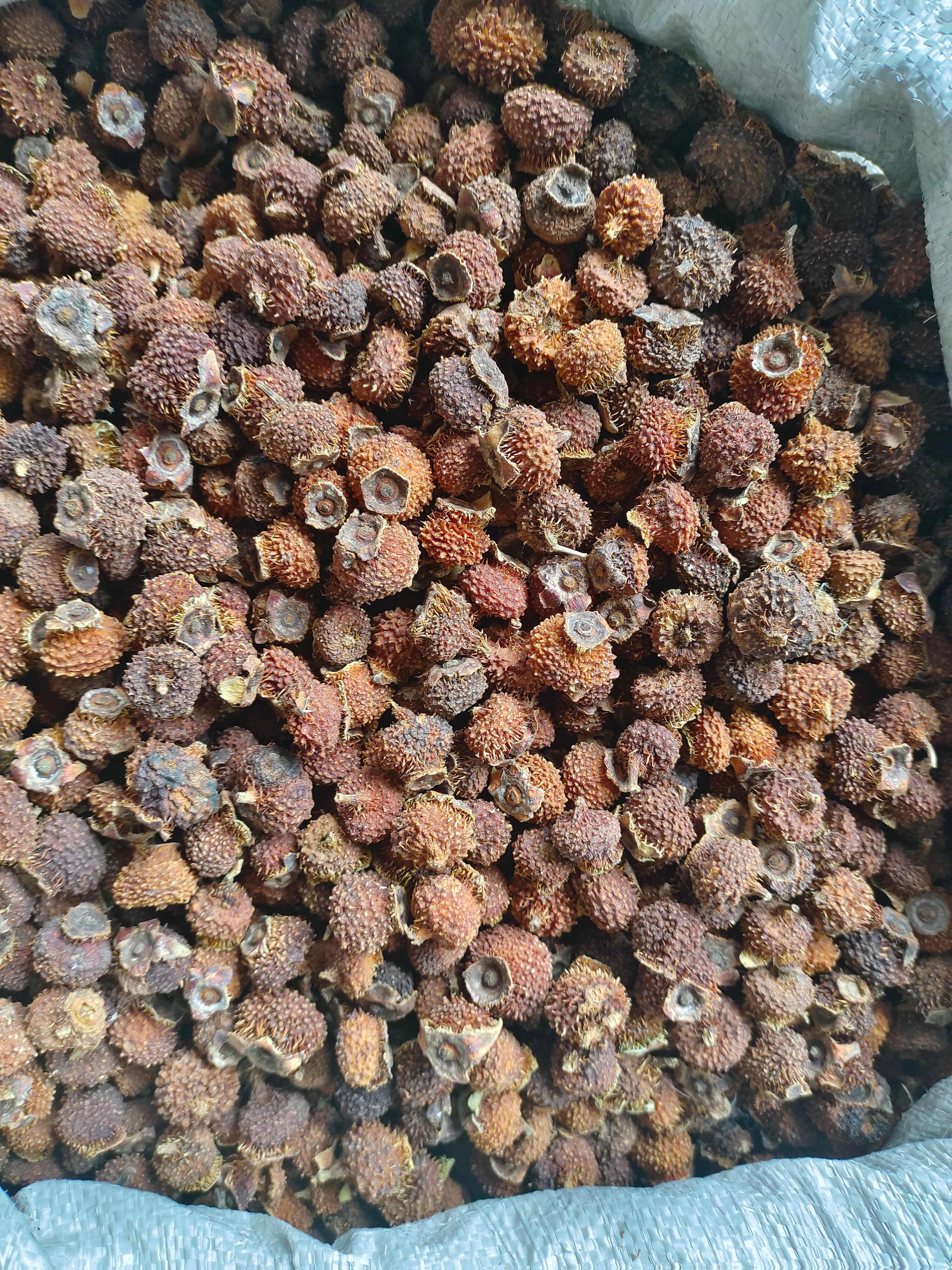 刺梨干果