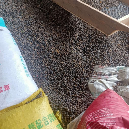 资中县积实