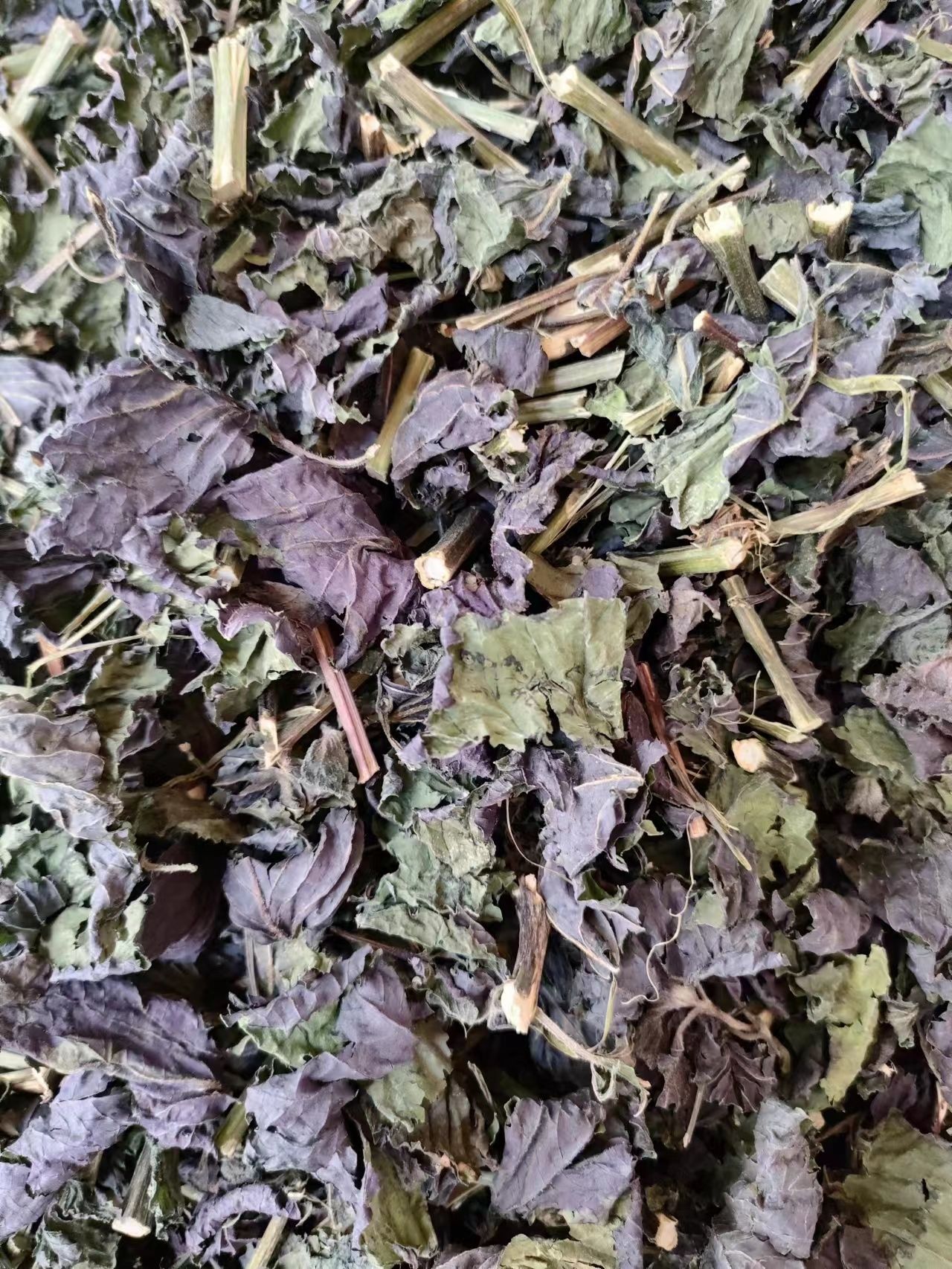 紫苏叶紫苏干紫苏中药材一斤包邮