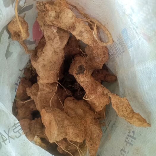 融水县新鲜土茯苓