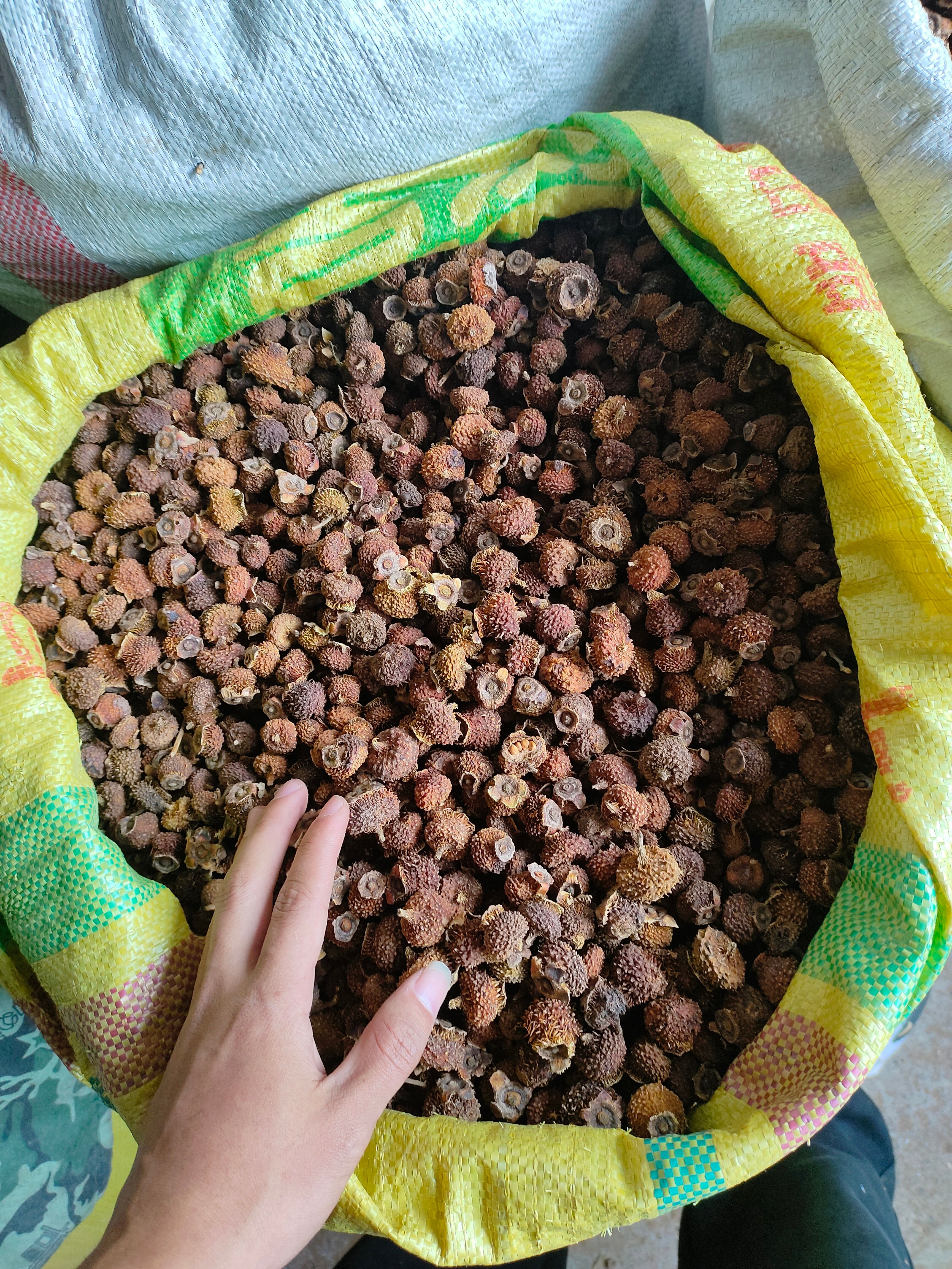 刺梨干果