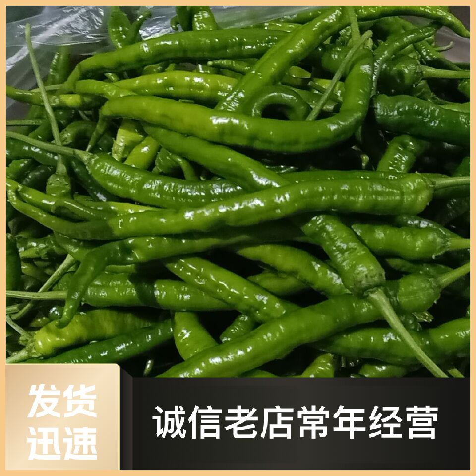 螺丝椒