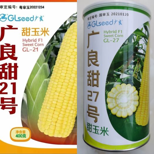 泰系甜玉米种子广良甜21号、广良甜27号原厂精品400克