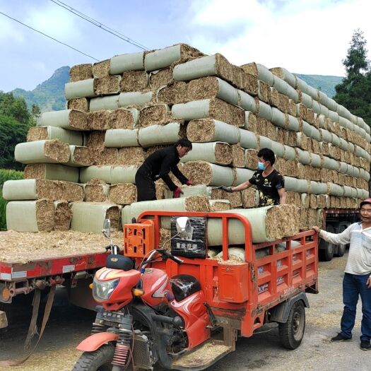 蒙城县小麦草，柔丝，除尘，风旋，保质保量，量大从优发往全国各地，