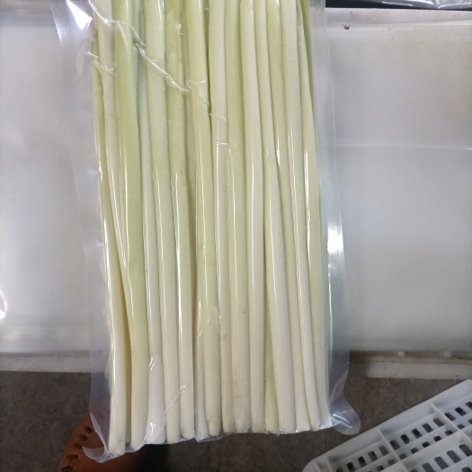 微山县蒲菜批发