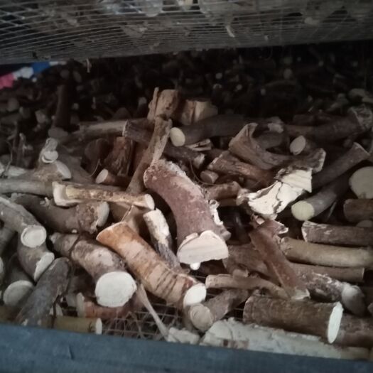 玉林五指毛桃中大节