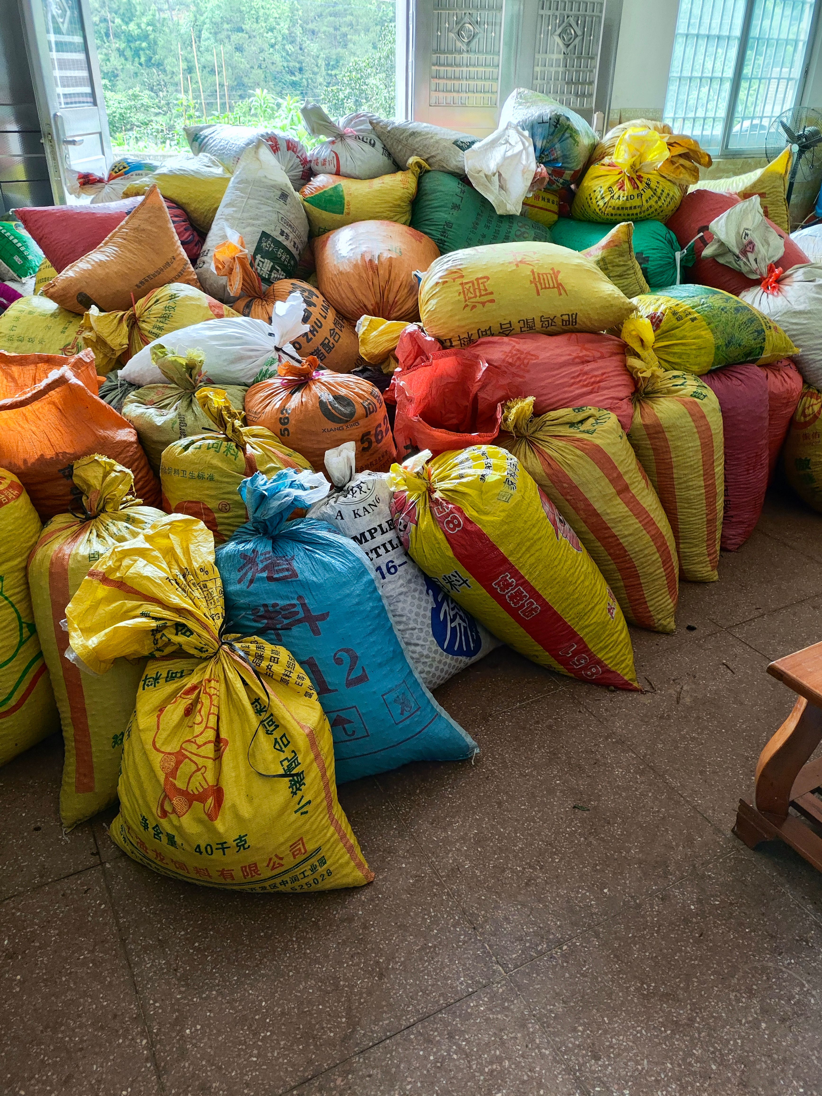 今年天旱 产量低 益智生 量大