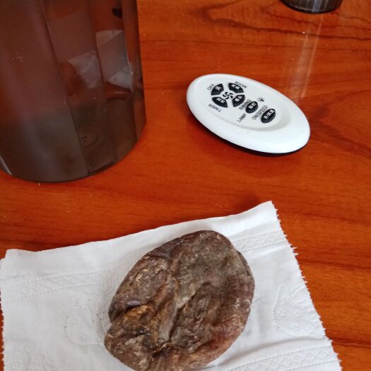 红河县鸡宝