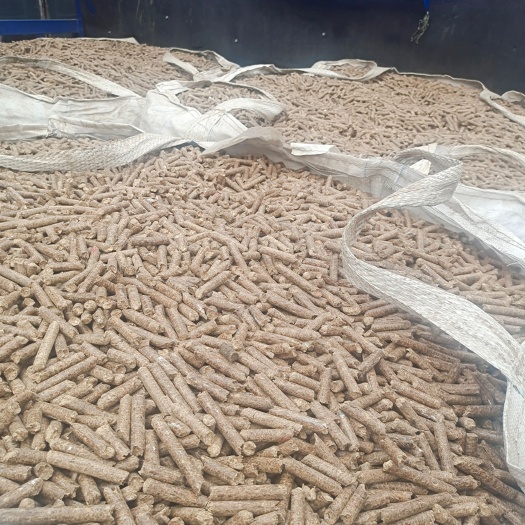 东莞市生物质颗粒燃料