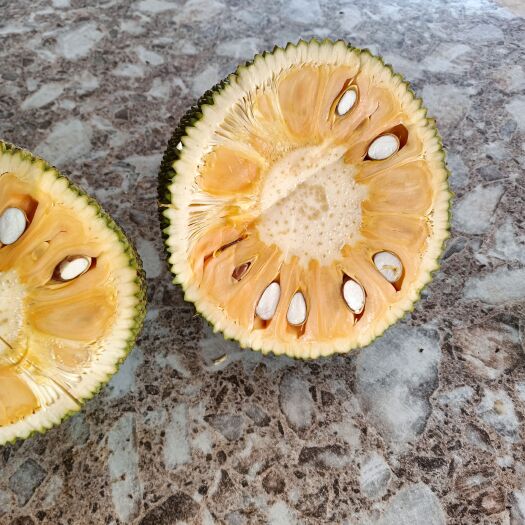 昌江县大量供应海南红肉菠萝蜜