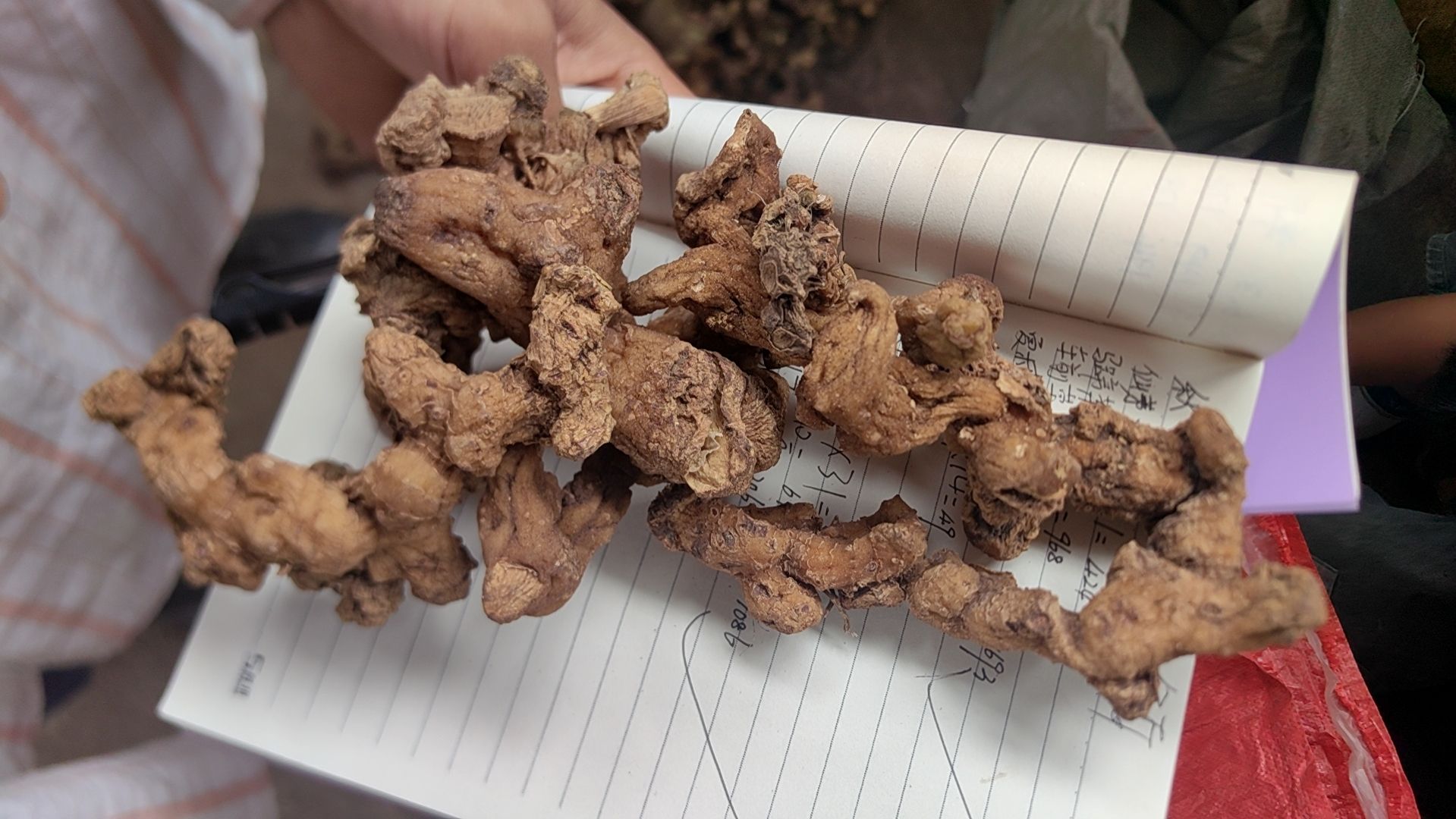 贵州干黄精，500克包邮