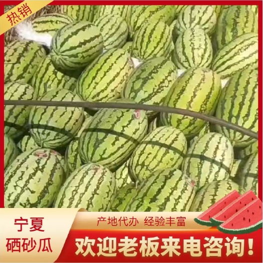 宁夏精品硒砂瓜 大量现货 品质好 耐运输 糖分高 口感好