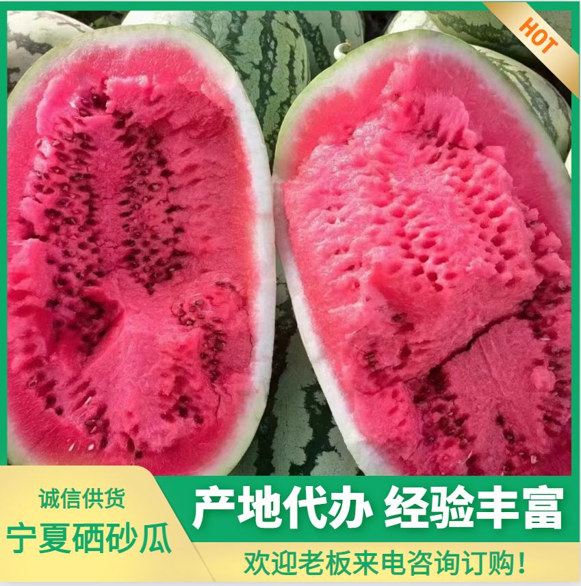 宁夏精品硒砂瓜 大量现货 品质好 耐运输  糖分高  口感好