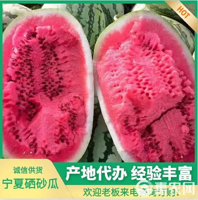 宁夏精品硒砂瓜 大量现货 品质好 耐运输  糖分高  口感好