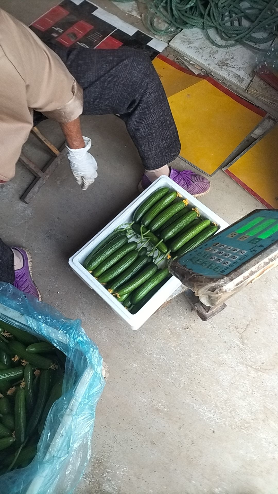 富硒水果黄瓜