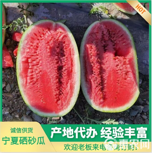 宁夏精品硒砂瓜 大量现货 品质好 耐运输  糖分高  口感好