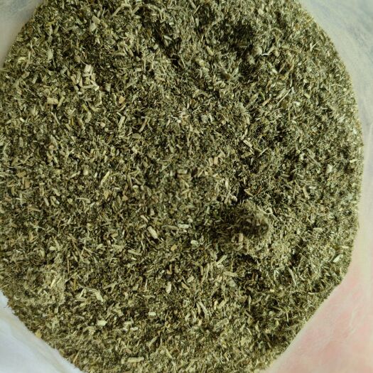 石家庄桑叶粉，植物蛋白，适用于各大奶牛养殖场
