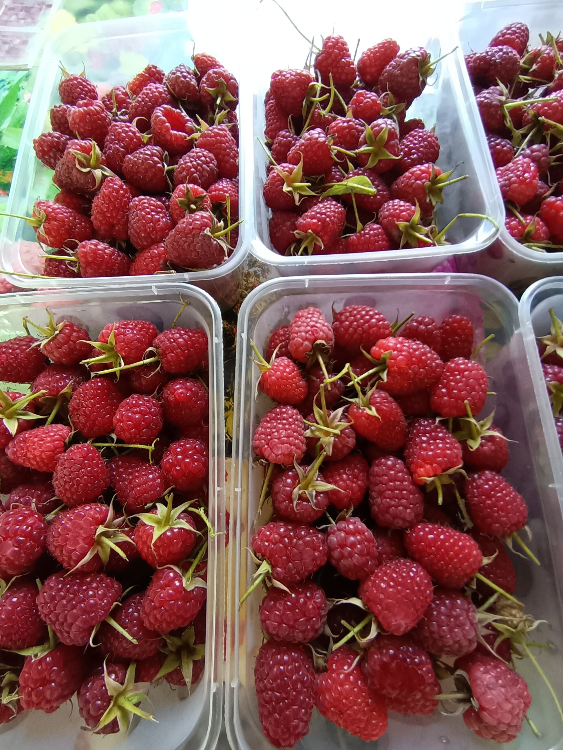 白山树莓果，长年批发鲜果和速冻果