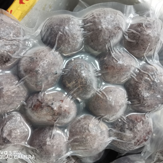 广州竹荪蛋