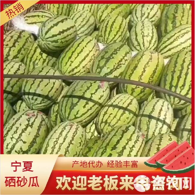 宁夏精品硒砂瓜 大量现货 品质好 耐运输  糖分高  口感好