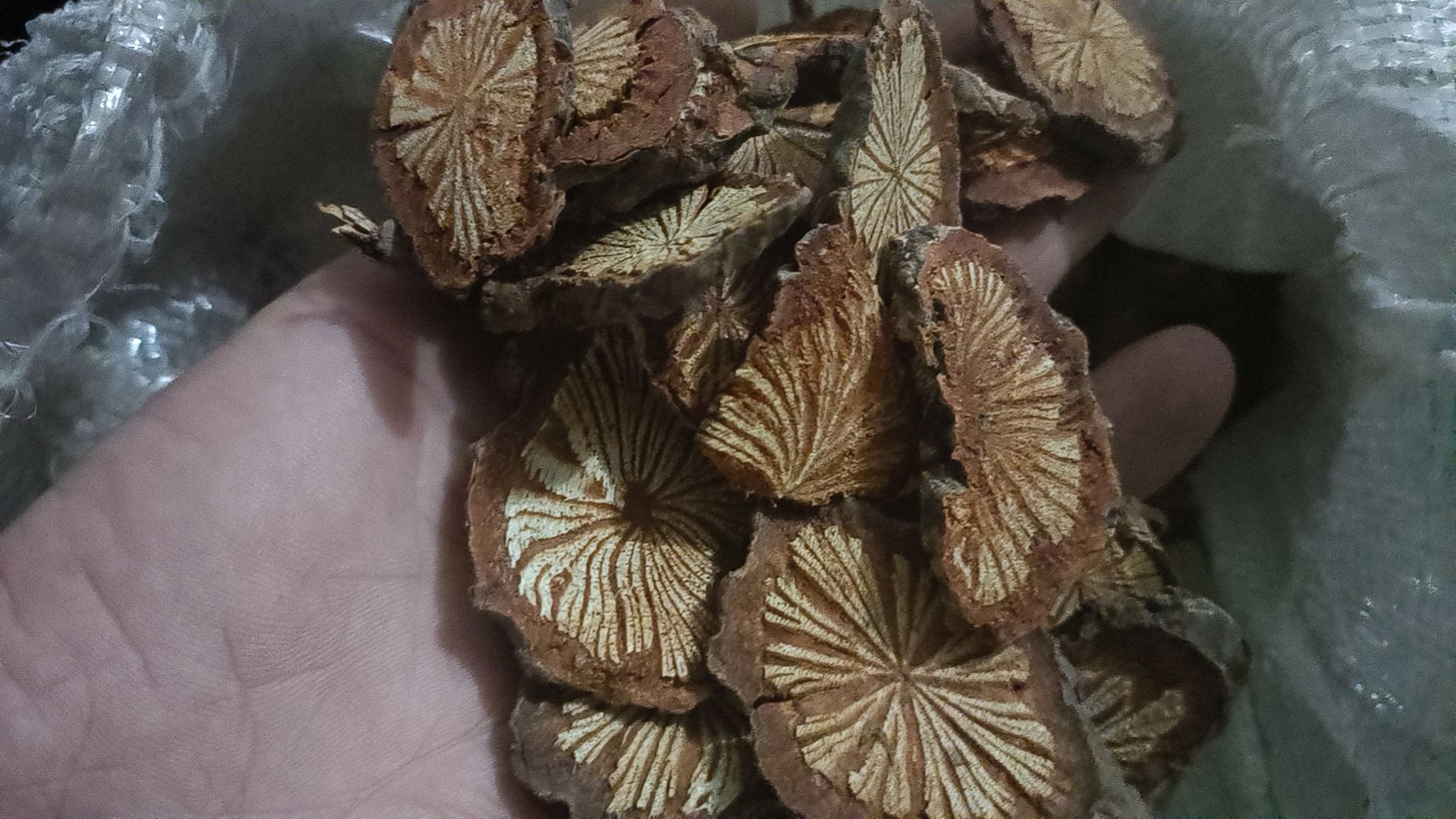 红藤片大血藤新货自然晒干无硫熏2023批发零售