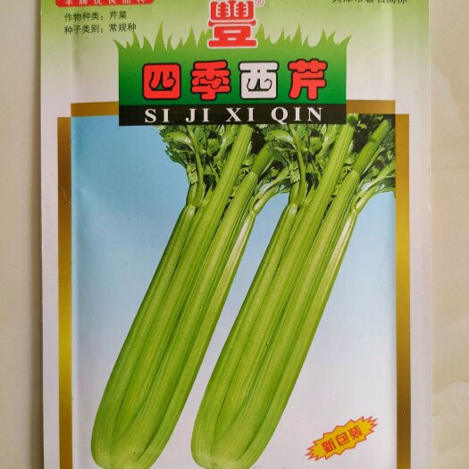 湘乡市西芹种子 四季西芹种子 嫩绿实心产量高10克
