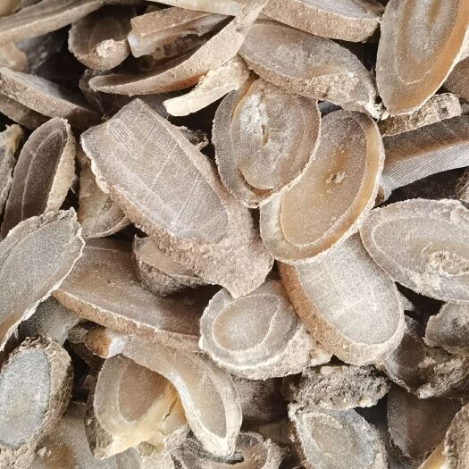 鄄城县【郁金】 实物拍摄  货源充足  量大从优 批发供应中药材
