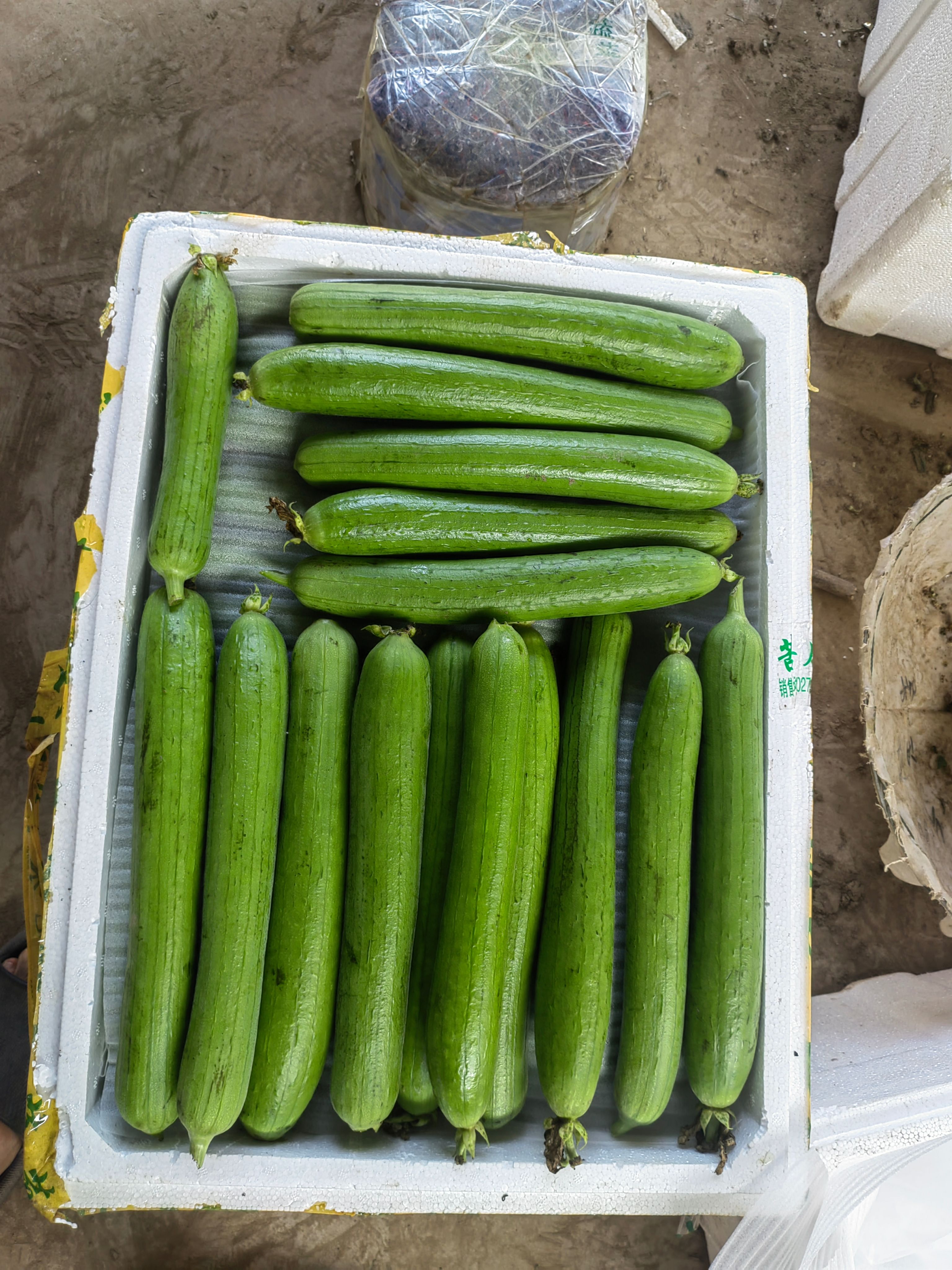 湖北省荆州市荆州区青丝瓜