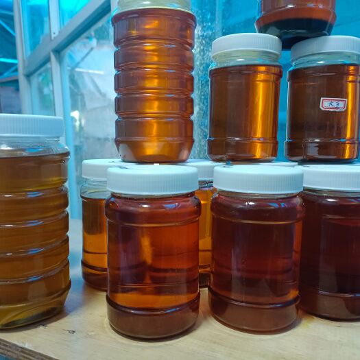 思茅出售！生鲜食用核桃油！