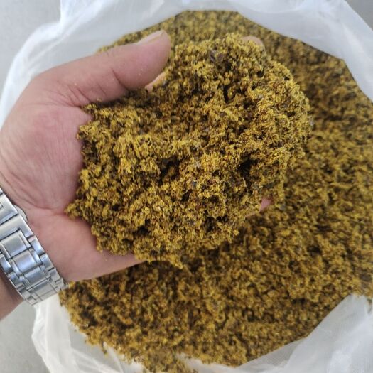 石家庄全脂棉籽饼