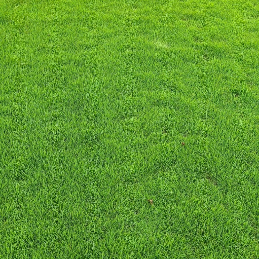 苍梧县物美价廉